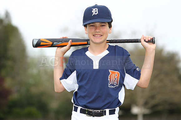 AAATigers038