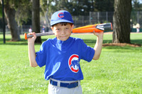 ACubs016