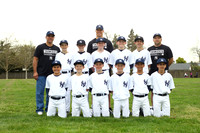 MAJOR YANKEES