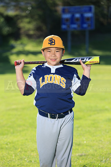 PWLions00096