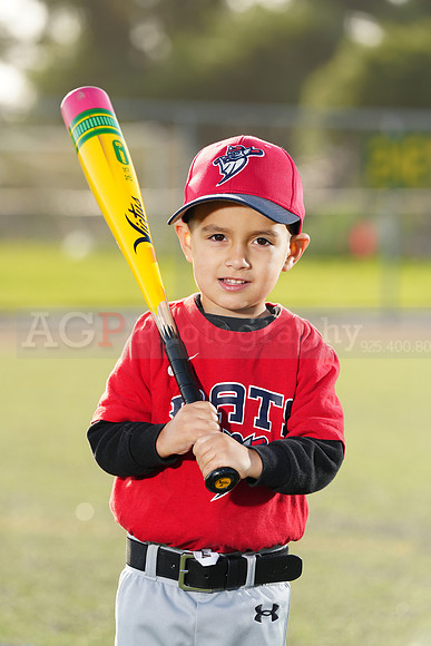 SB_TB_Bats036