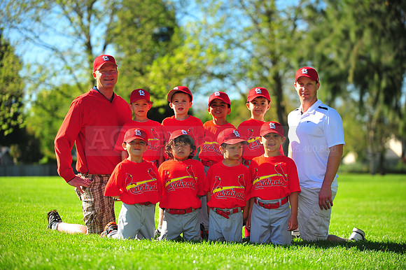 TBall_Cardinals072
