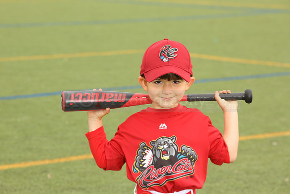 SB_TB_Ironpigs00017