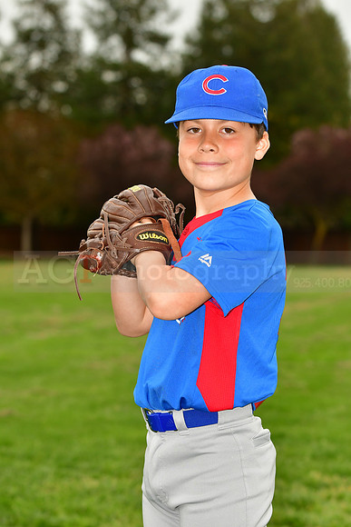 AAACubs007