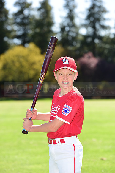 MCardinals0053