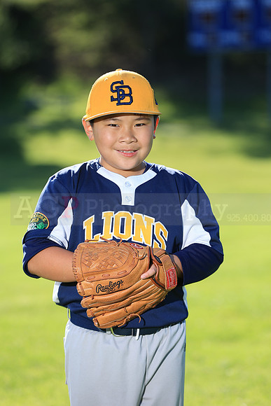 PWLions00091