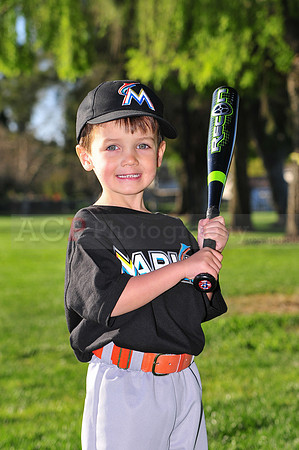 TBMarlins046