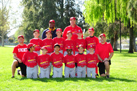 AA CARDINALS