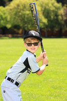 PLL_A_Whitesox00009