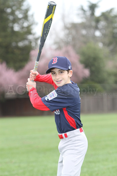 AAARedsox060