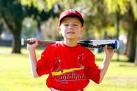 TBCards019