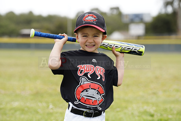 TBMudcats00132