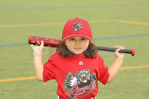 SB_TB_Ironpigs00049