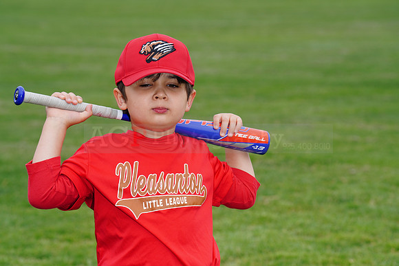 PLL_TBall_Grizzlies00079