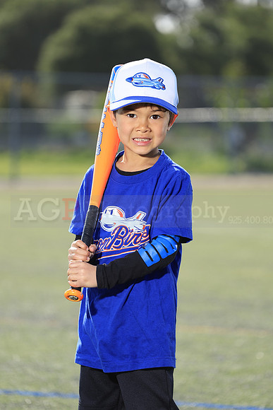 SB_TB_IronBirds016