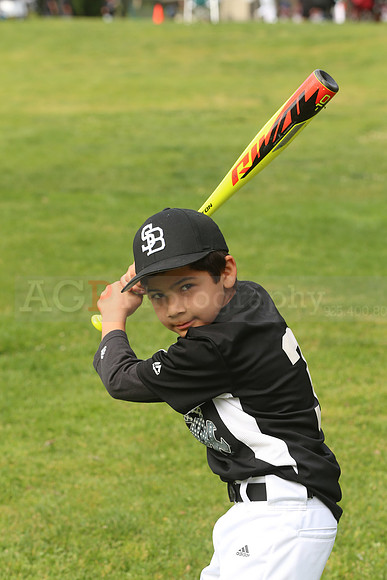 SB_PW_White_Sox00001