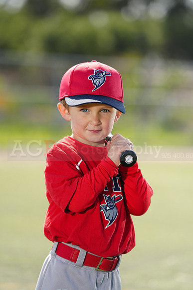 SB_TBALL_BATS130