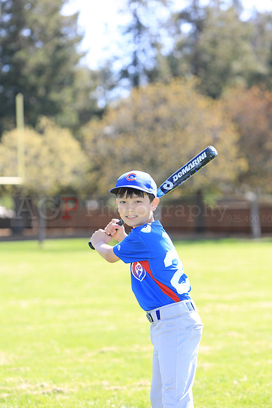 AAACubs061