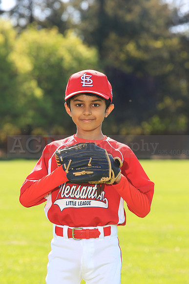 PLL_AAA_Cardinals00041
