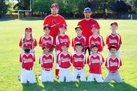 SINGLE A CARDINALS