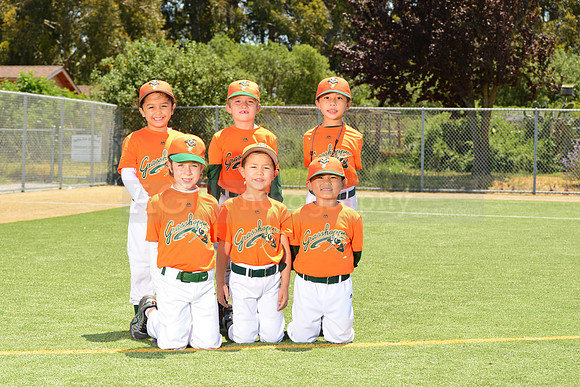 SB_TB_Grasshoppers00055