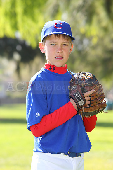 AAACubs018
