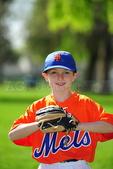 AA METS061