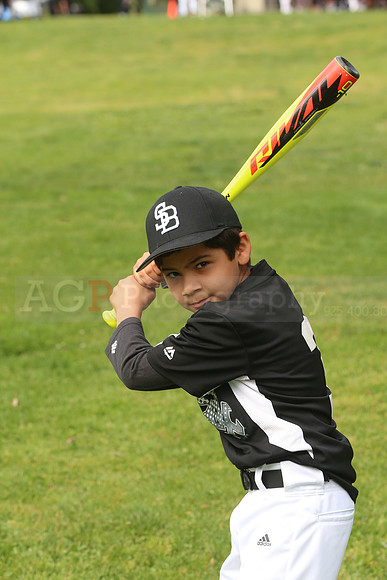 SB_PW_White_Sox00003