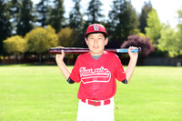 MCardinals0005