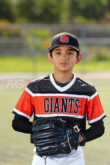 SB_BR_Giants032