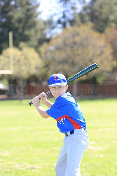 AAACubs067