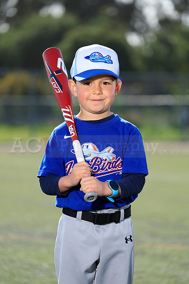 SB_TB_IronBirds050