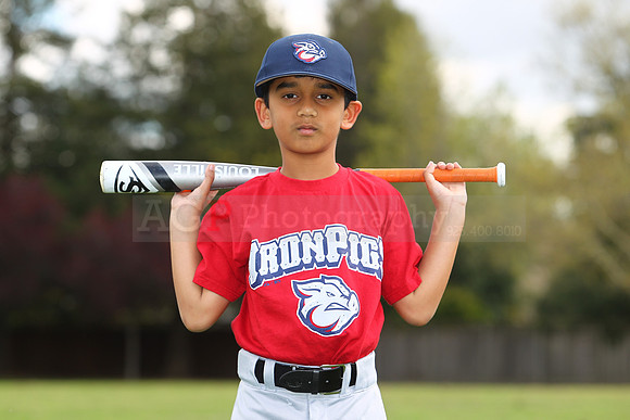 AIronpigs075