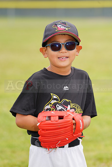 AGP09040