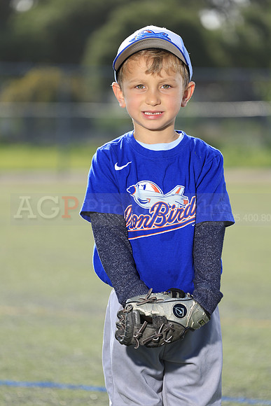 SB_TB_IronBirds003