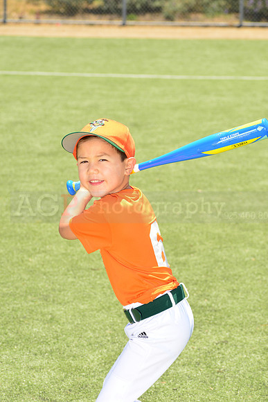 SB_TB_Grasshoppers00045