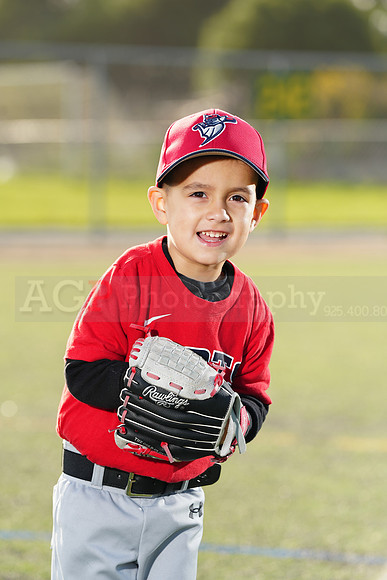 SB_TB_Bats037