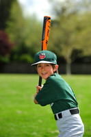 FmTinCaps014