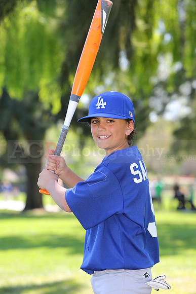 MajorDodgers031