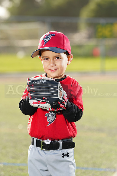 SB_TB_Bats038