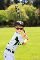 PLL_A_Whitesox00010