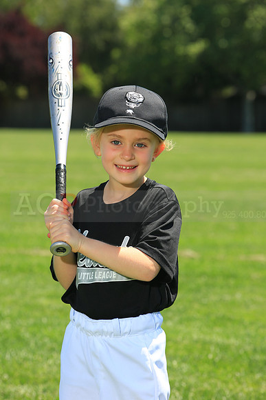 PLL_TB_Lugnuts00100