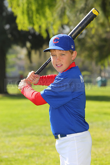 AAACubs019