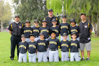 AAA PIRATES