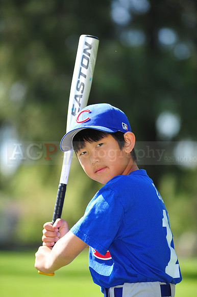 AA_Cubs061