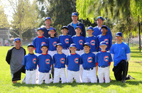 AAA CUBS