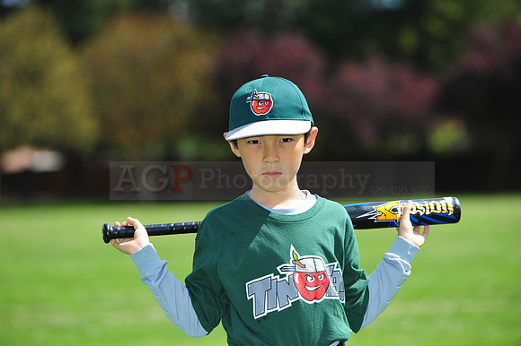 FmTinCaps058