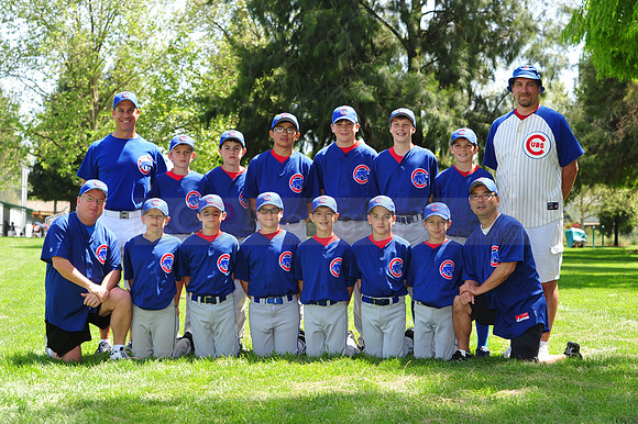 Major_Cubs133