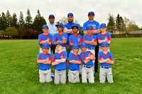 AAACubs004