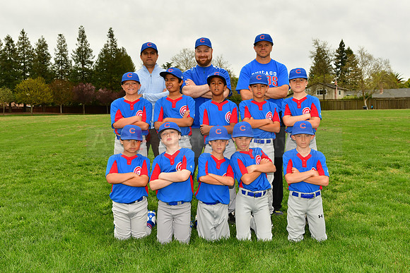 AAACubs004
